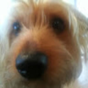 Meet your Posher, Hollyn